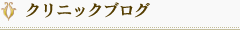 カウンセラーBlog