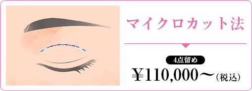 シークレット法