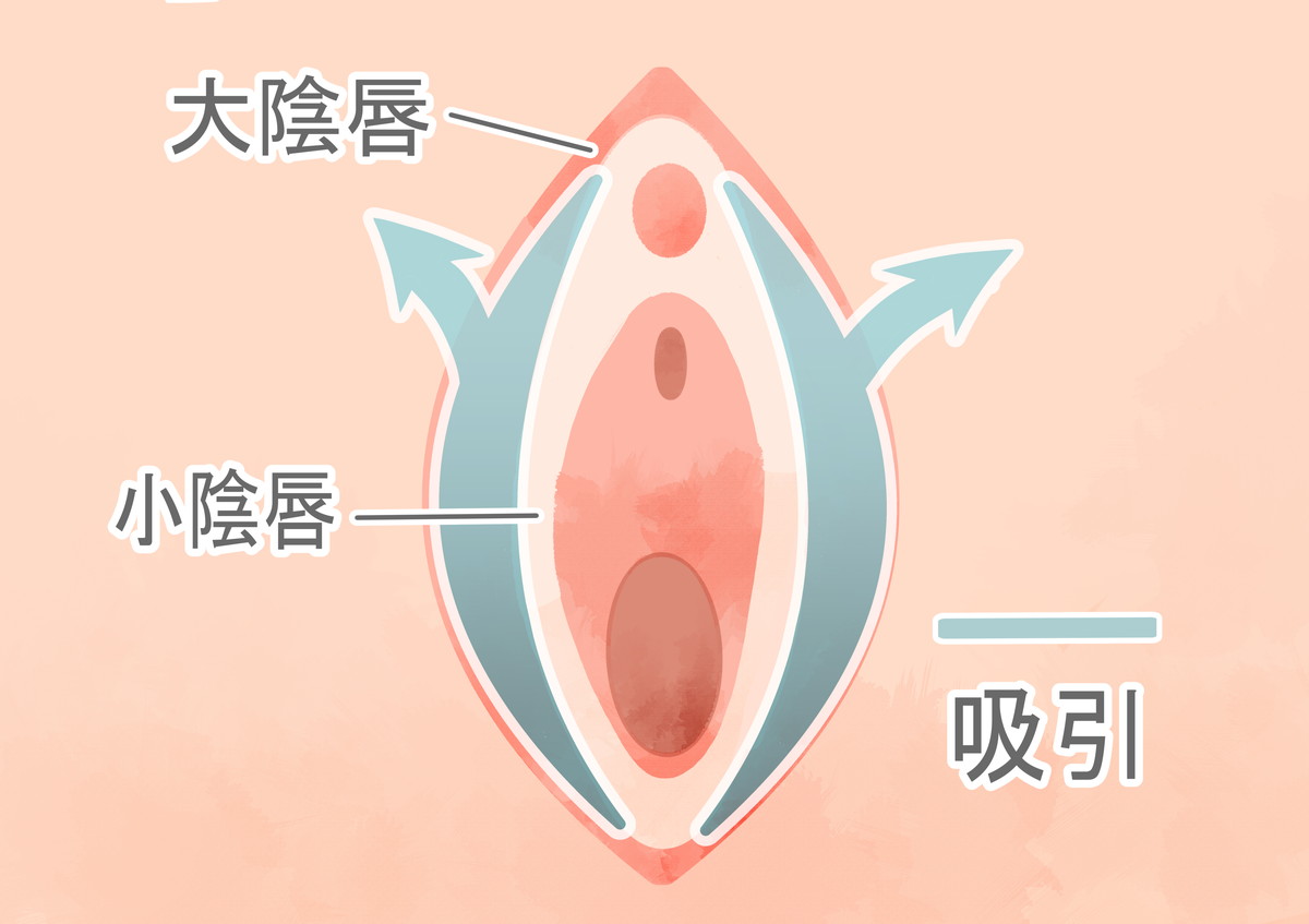 大陰唇 大陰唇縮小術 | 美容外科・美容皮膚科ならラミュー・中央クリニック