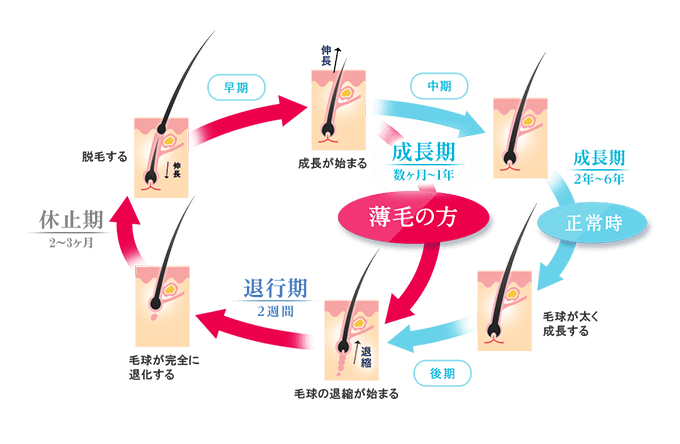 ヘアサイクル