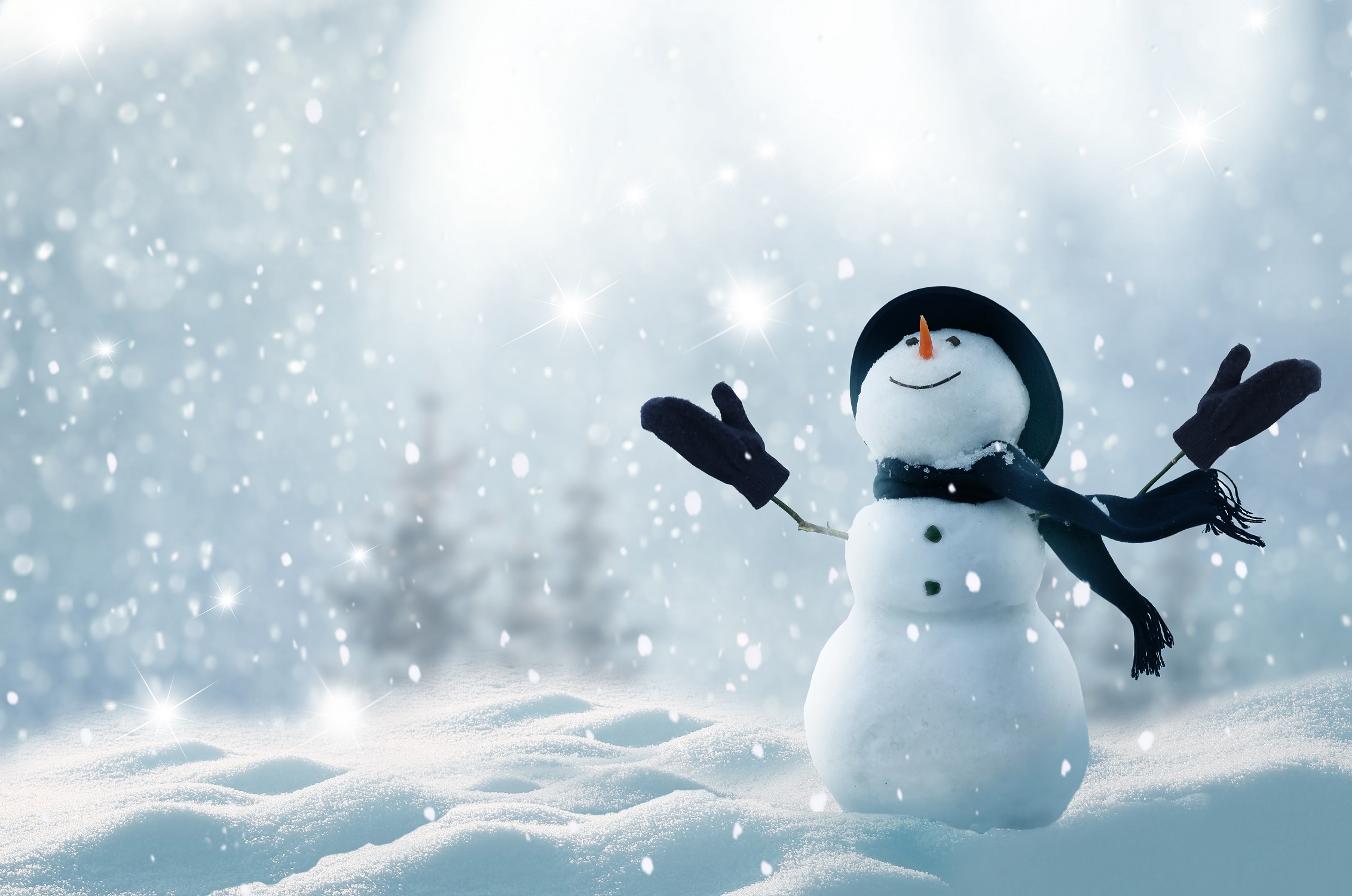 ちょっとくらいの雪や雨なら、傘はささない! その油断が女性の薄毛に?!